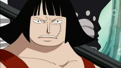 Poster del episodio 403 de One Piece online