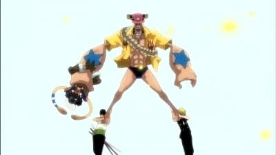 Poster del episodio 367 de One Piece online