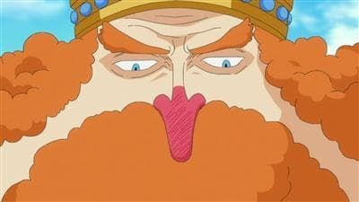 Poster del episodio 530 de One Piece online