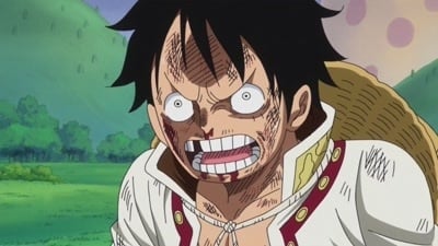 Poster del episodio 808 de One Piece online