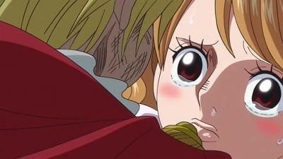 Poster del episodio 810 de One Piece online