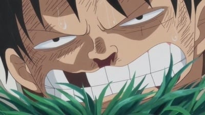 Poster del episodio 811 de One Piece online