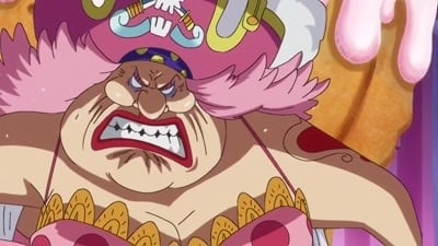 Poster del episodio 813 de One Piece online